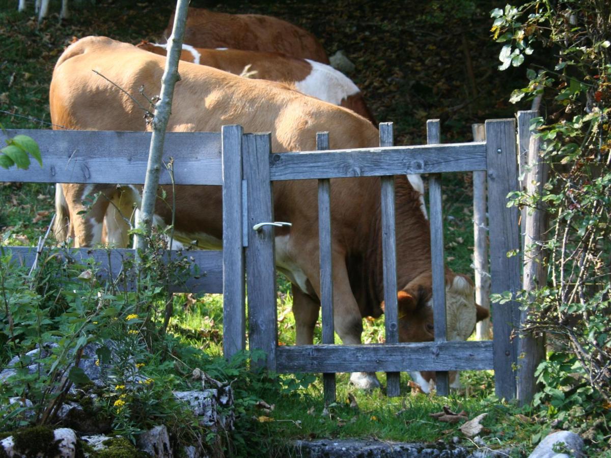 Ferienwohnungen Haus Waldwinkel Aschau im Chiemgau Eksteriør bilde